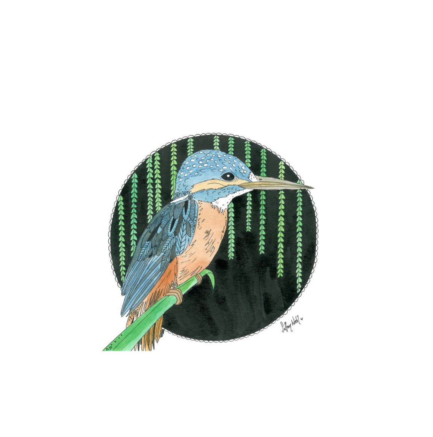 Kingfisher