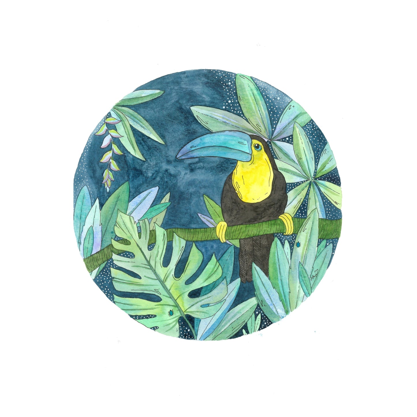 Midnight Toucan