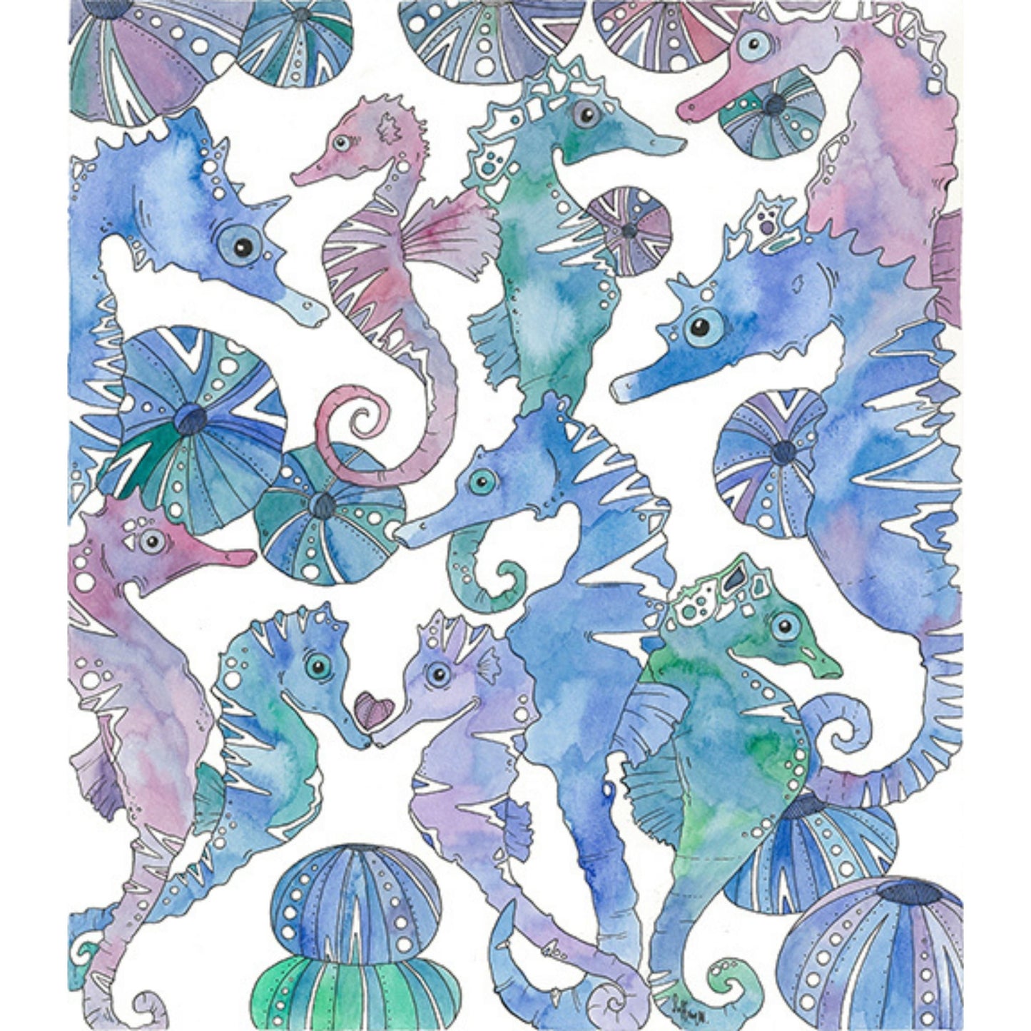 Aguas Seahorses