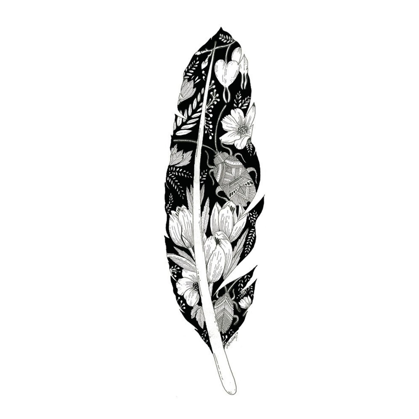 B&W Feather