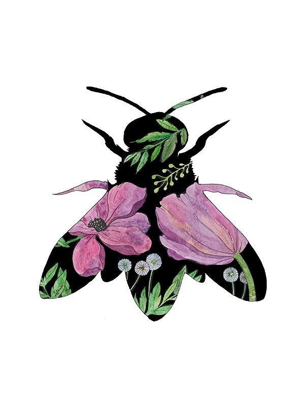 Pink Cicada