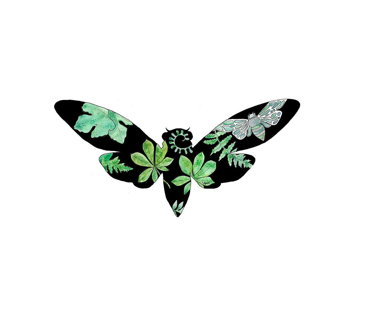 Cicada Silhouette