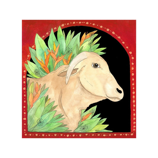 Jaipur Cow