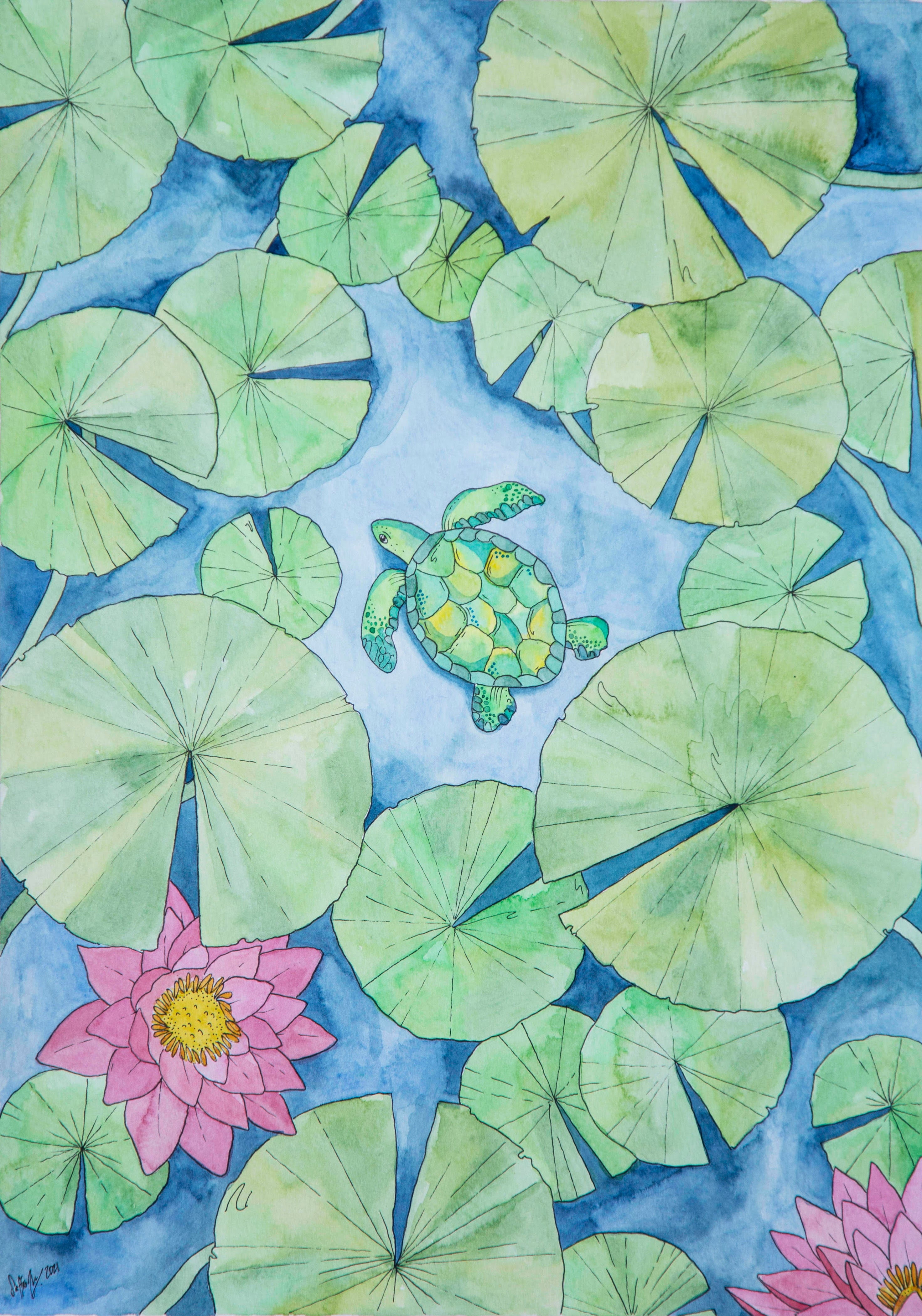 Pond Turtle (Size: A3)