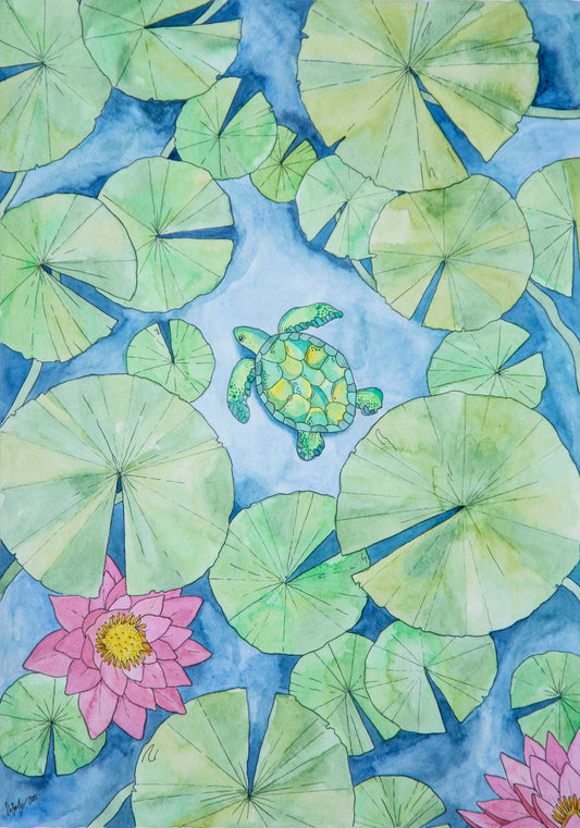 Pond Turtle