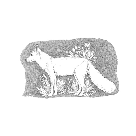 Crosshatch Fox
