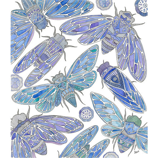 Aguas Cicadas