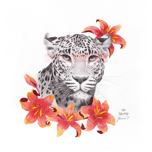 Leopard