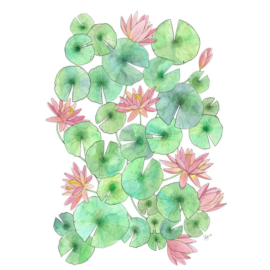 Lily 3
