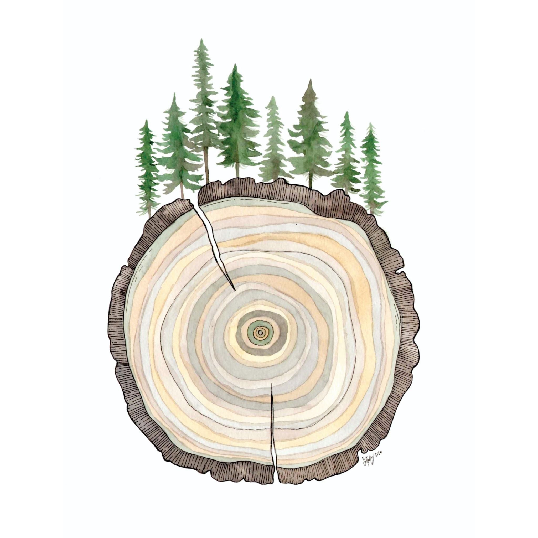 Manali Tree Ring (Size: A3)