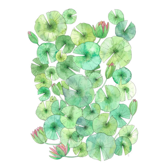 Lily 2