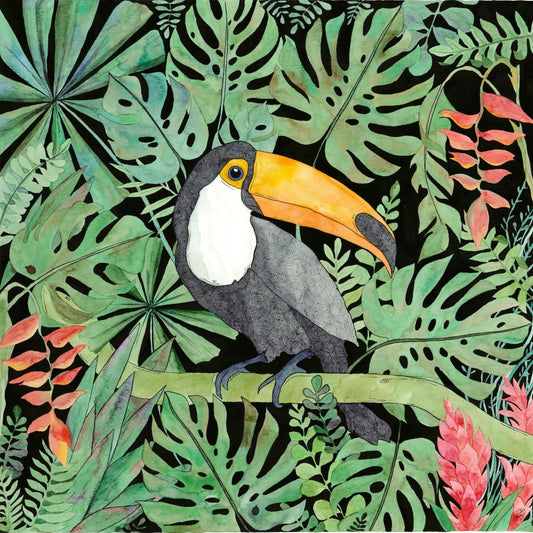 Toucan 1