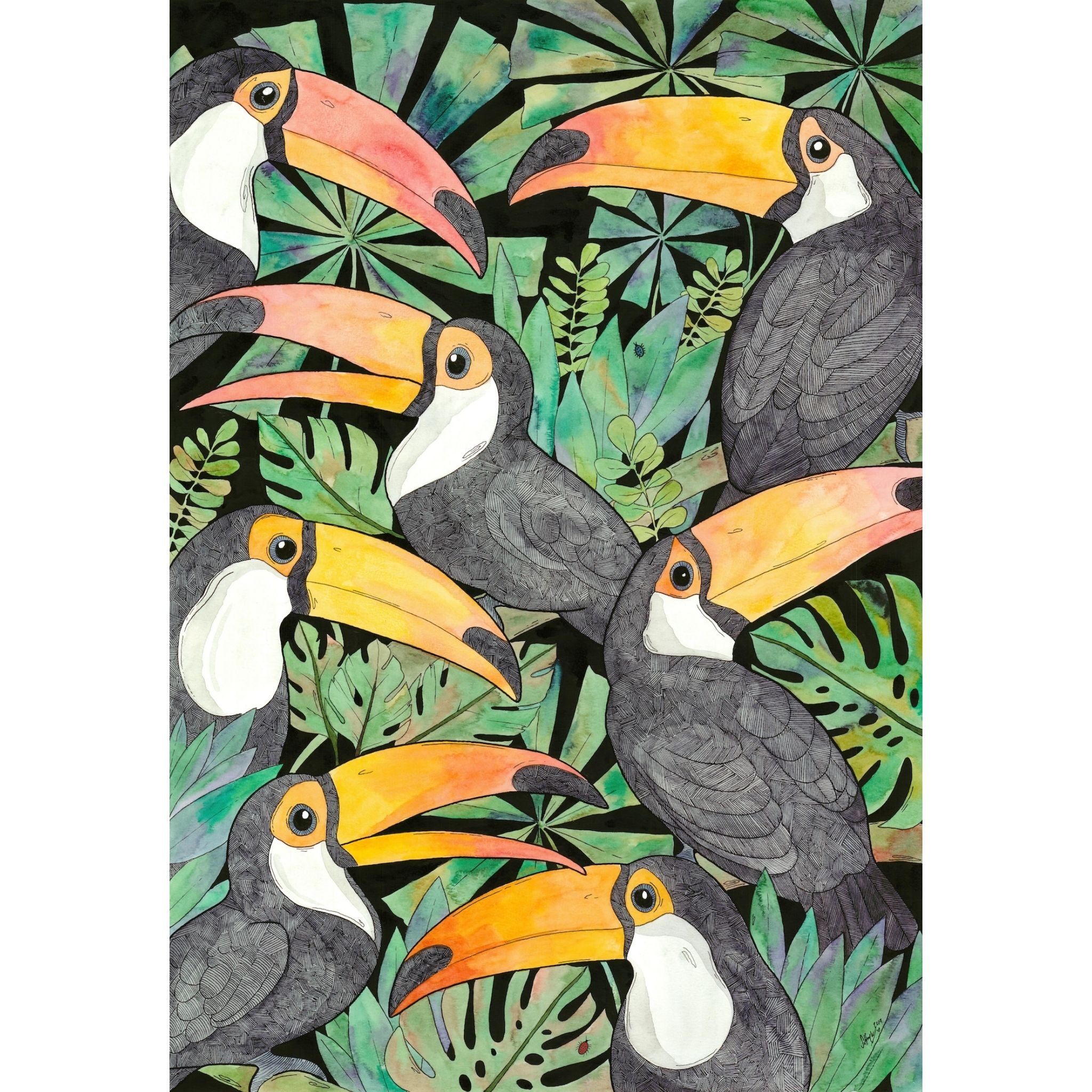 Meeting of the Toucans (Size: A3)