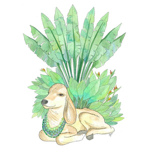 Surdas (Size: A3)