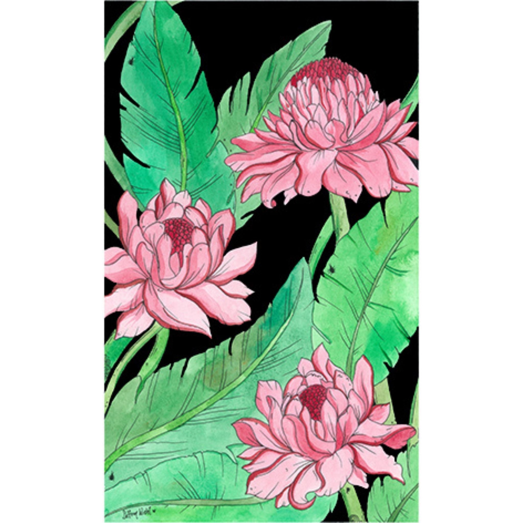 Torch Ginger (Size: A3)