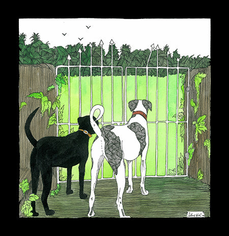 Beyond The Gate