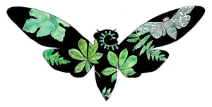 Cicada Silhouette (Size: A4)