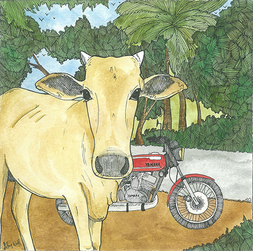 Cow And RD (Size: A4)