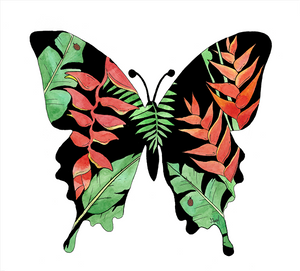 Heliconia Butterfly (Size: A4)